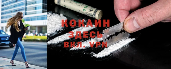 стаф Гусь-Хрустальный