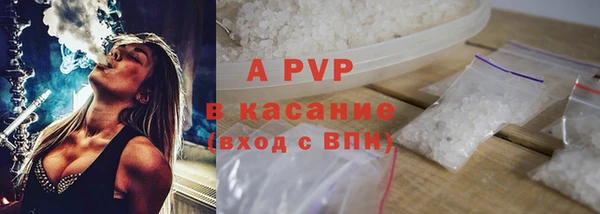 прущие грибы Горняк