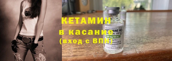 прущие грибы Горняк