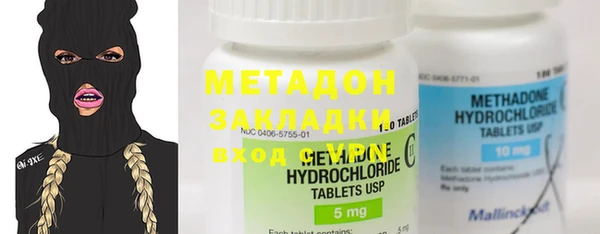 прущие грибы Горняк