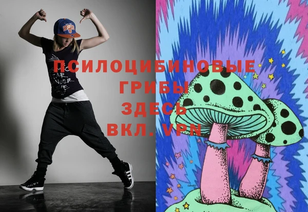 стаф Гусь-Хрустальный