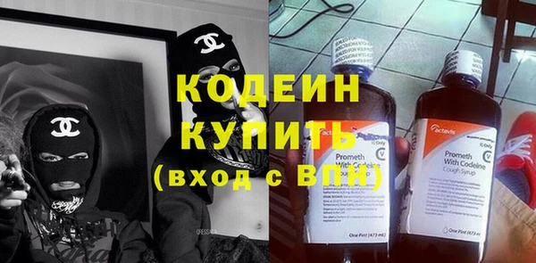 стаф Гусь-Хрустальный