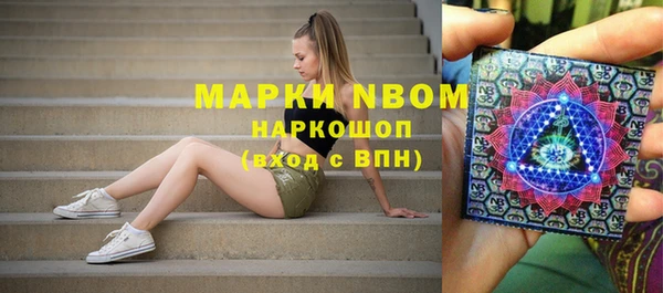 прущие грибы Горняк