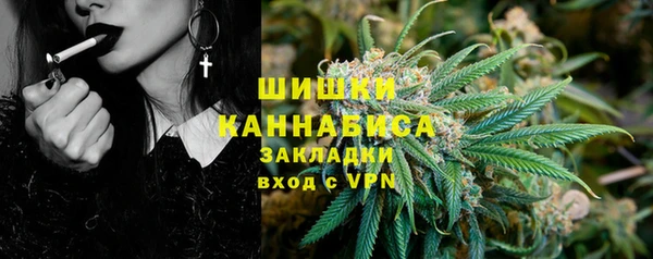 стаф Гусь-Хрустальный