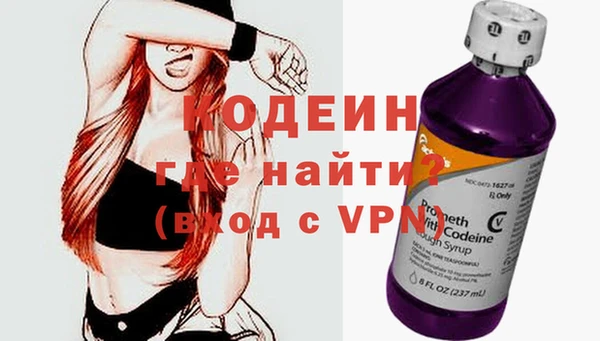 стаф Гусь-Хрустальный