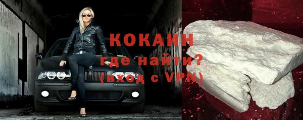 стаф Гусь-Хрустальный